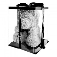 Белый мишка из роз - 40 см